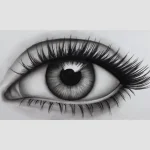 目が綺麗な人の魅力とは？美しい瞳を作る秘訣と日本人に多い目の形