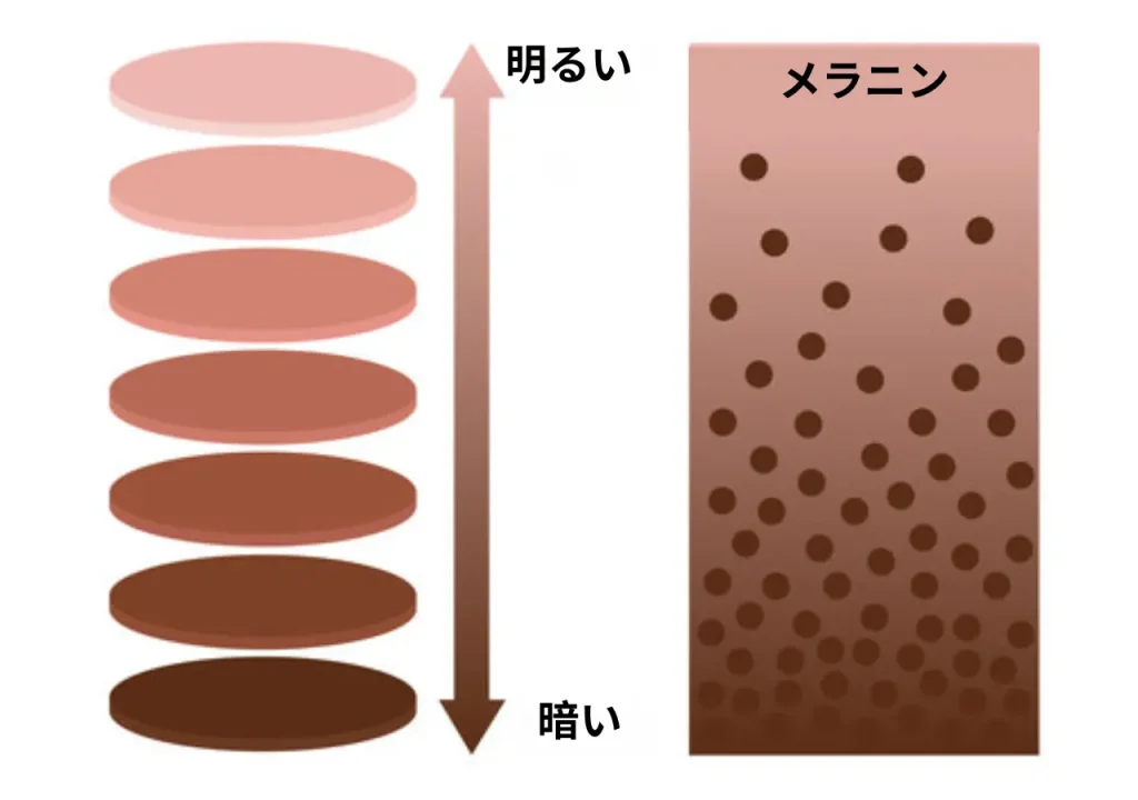 メラニン